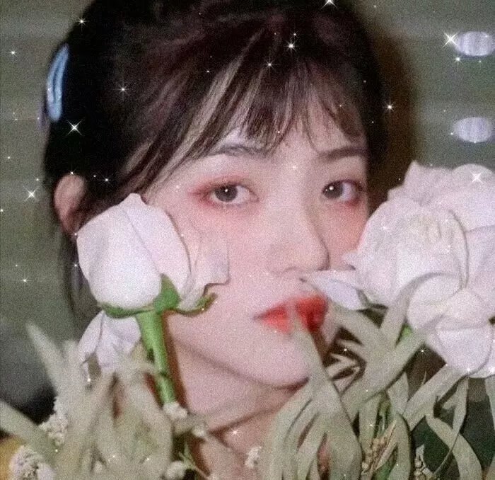 深夜中的企鹅